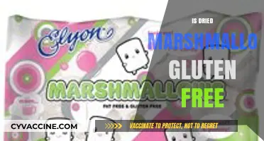 Are Dried Marshmallows Gluten-Free? A Sweet Snack Investigation