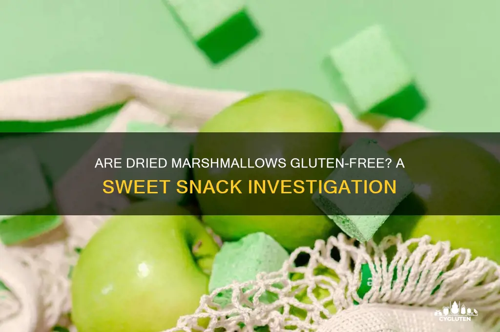 is dried marshmallows gluten free