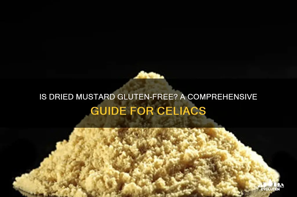 is dried mustard gluten free