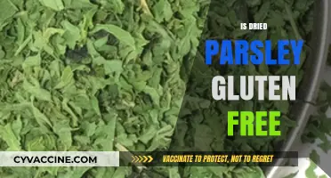 Is Dried Parsley Gluten Free? A Clear Answer for Celiacs