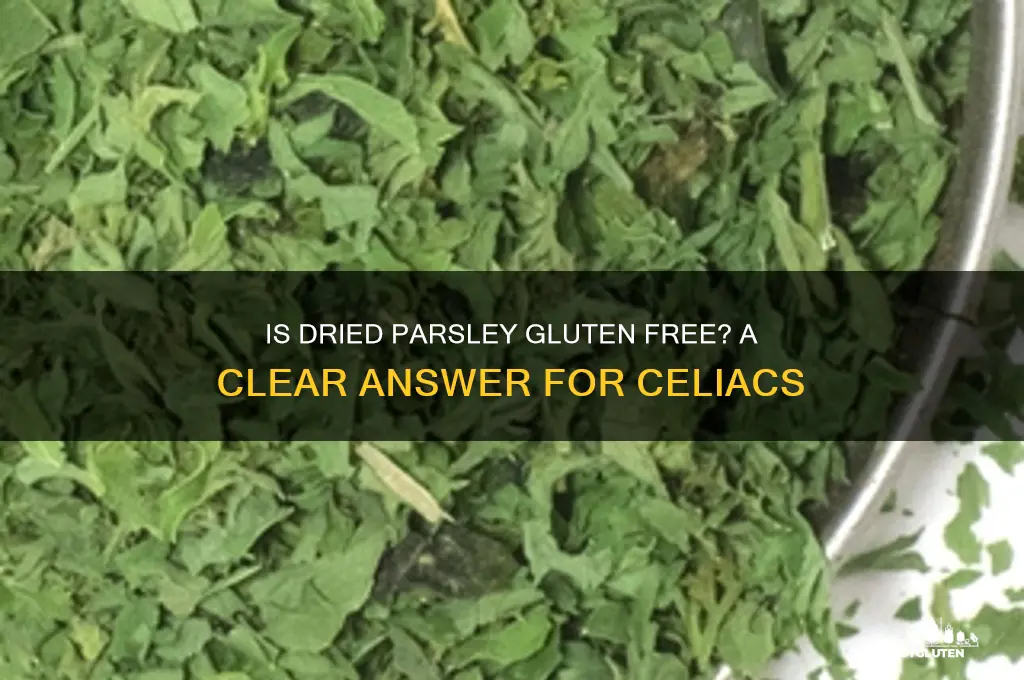 is dried parsley gluten free