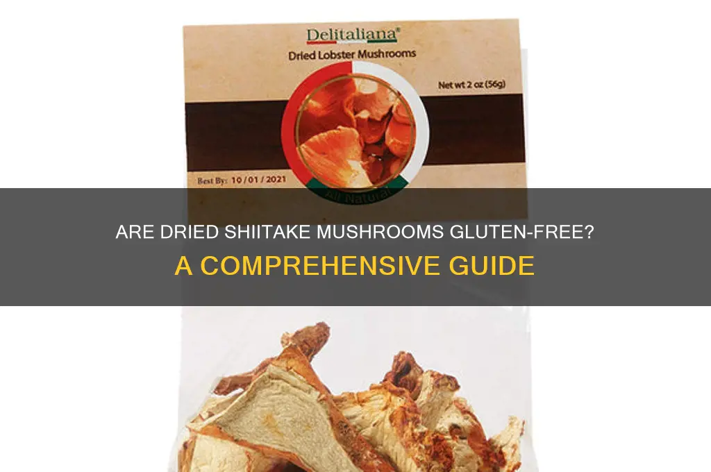 is dried shiitake gluten free