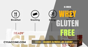 Is Dried Whey Gluten-Free? Unraveling the Facts for Your Diet