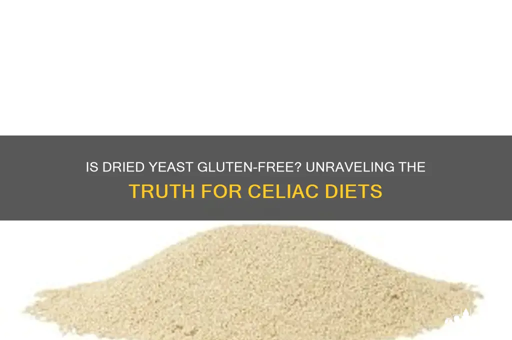 is dried yeast gluten free