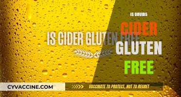Is Druids Cider Gluten-Free? A Complete Guide for Cider Lovers