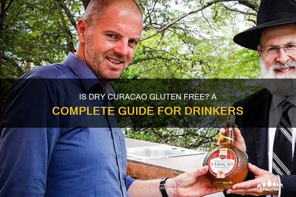 is dry curacao gluten free