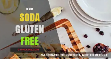 Is Dry Soda Gluten-Free? A Comprehensive Guide to Safe Sipping