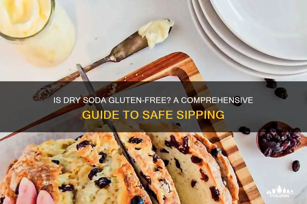 is dry soda gluten free