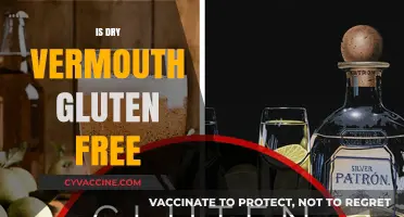 Is Dry Vermouth Gluten-Free? A Guide for Celiac Drinkers
