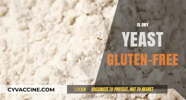 Is Dry Yeast Gluten-Free? A Clear Answer for Celiac Diets