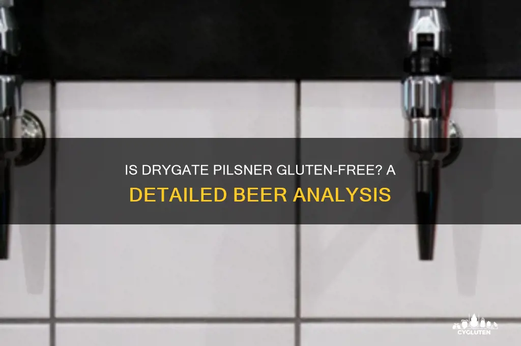 is drygate pilsner gluten free