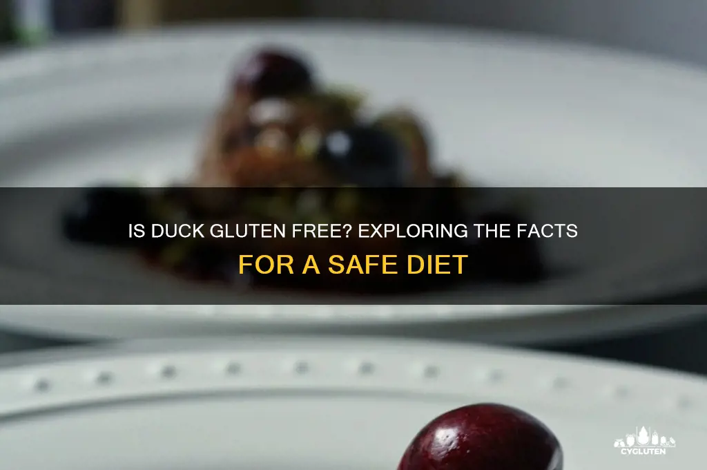is duck gluten free