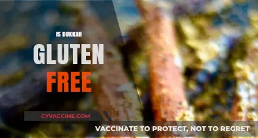 Is Dukkah Gluten Free? A Nutty Spice Blend Explained