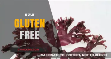 Is Dulse Gluten-Free? A Comprehensive Guide to This Seaweed Superfood