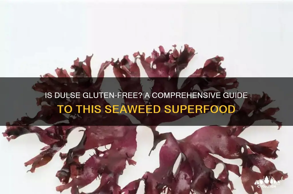 is dulse gluten free