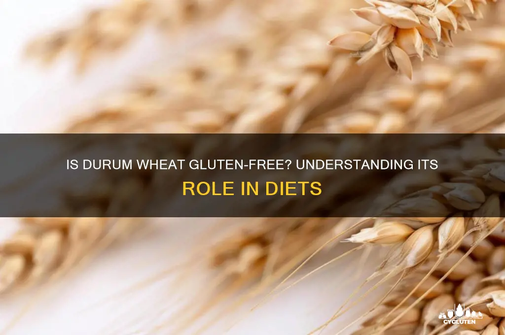 is duram wheat gluten free
