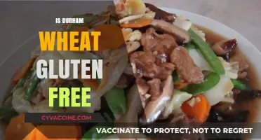 Is Durham Wheat Gluten-Free? Unraveling the Facts for Your Diet