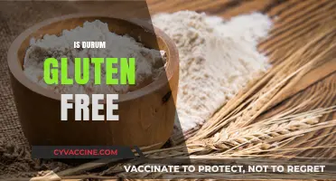 Is Durum Wheat Gluten-Free? Understanding Pasta and Dietary Needs