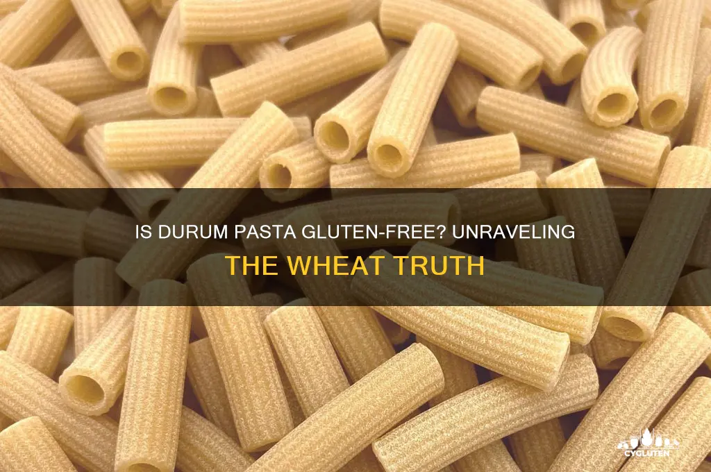 is durum pasta gluten free