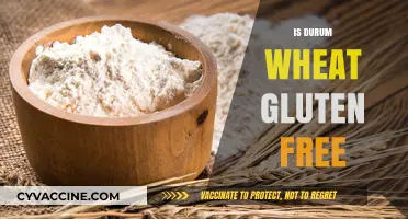 Is Durum Wheat Gluten-Free? Unraveling the Truth for Your Diet