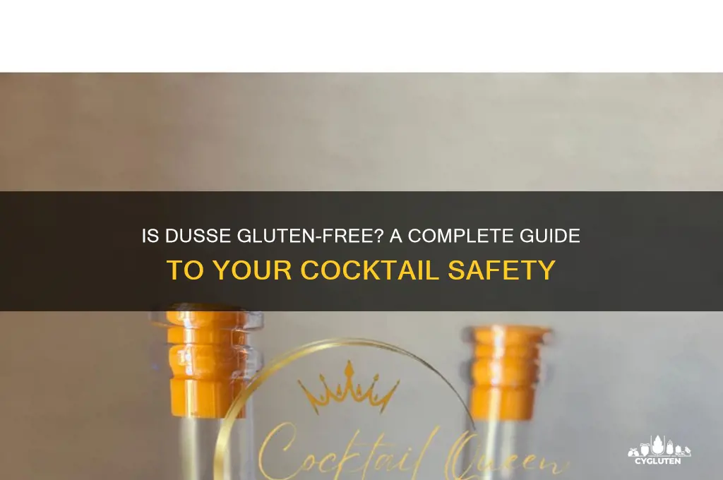 is dusse gluten free
