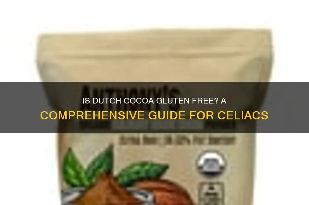 is dutch cocoa gluten free