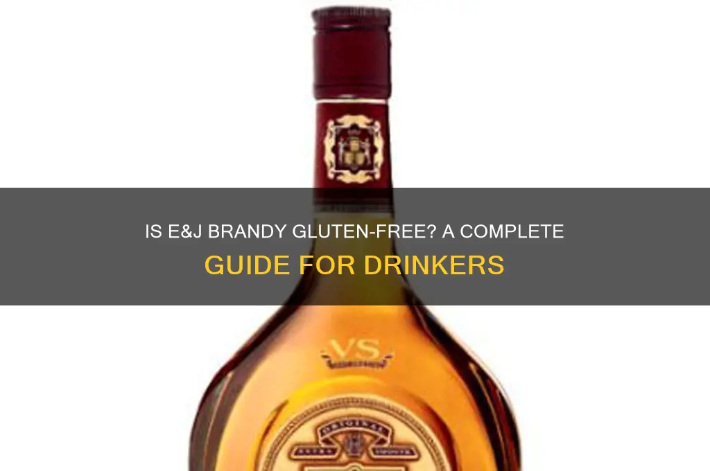 is e&j gluten free