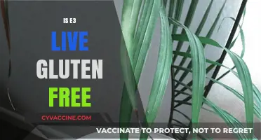 Is E3 Live Gluten-Free? Exploring Its Ingredients and Safety