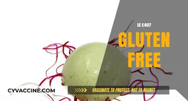 Is E407 Gluten Free? Unraveling the Truth About Carrageenan