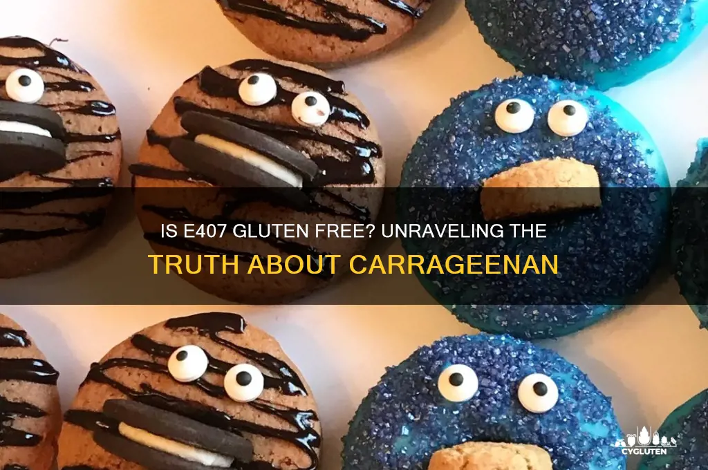 is e407 gluten free