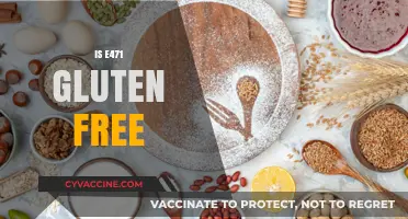 Is E471 Gluten Free? Uncovering the Truth About This Additive
