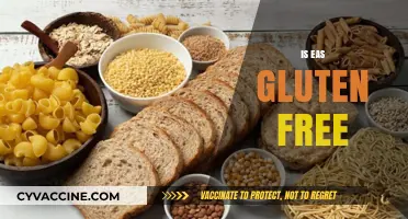 Is EAS Gluten-Free? Uncovering the Truth for Your Diet Needs