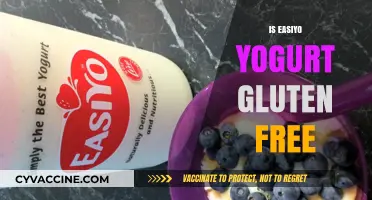 Is EasiYo Yogurt Gluten-Free? A Complete Guide for Dieters