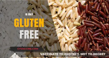 Is Ebly Gluten-Free? Unraveling the Truth About This Grain Product