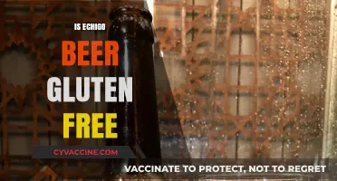 Is Echigo Beer Gluten-Free? A Comprehensive Guide for Beer Lovers