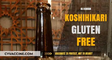 Is Echigo Koshihikari Rice Gluten-Free? A Complete Guide