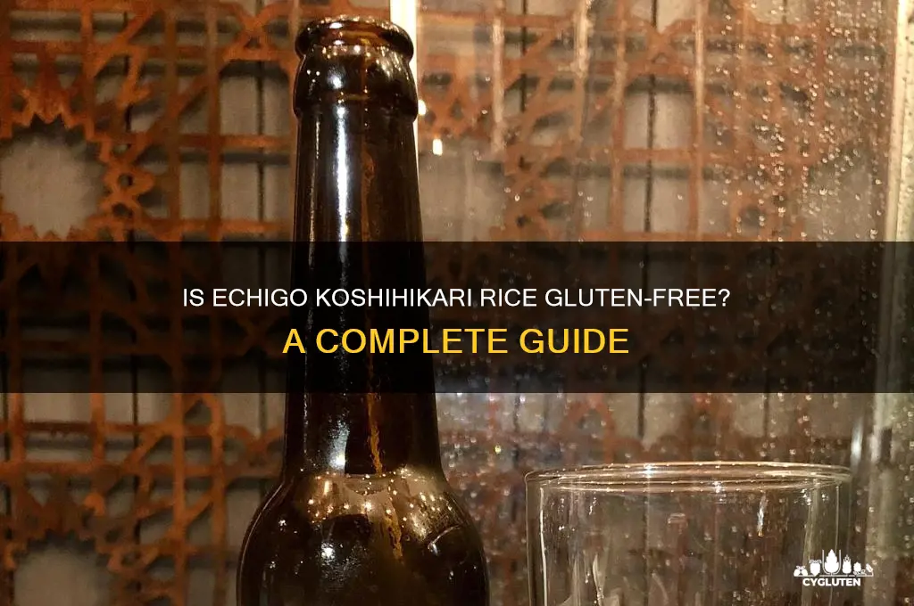 is echigo koshihikari gluten free
