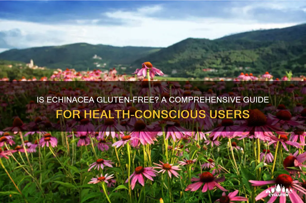 is echinacea gluten free