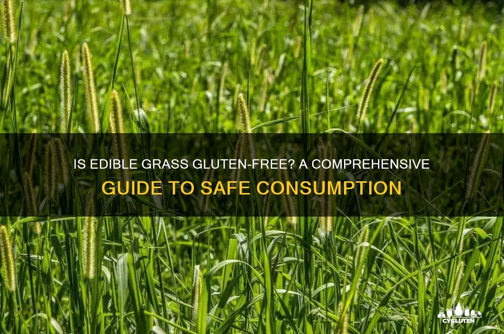 is edible grass gluten free