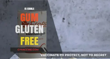 Is Edible Gum Gluten-Free? A Comprehensive Guide for Dietary Needs