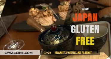 Exploring Edo Japan's Menu: Are Their Options Gluten-Free?