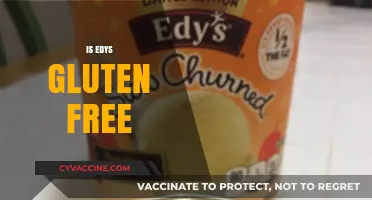 Is Edy's Ice Cream Gluten-Free? A Complete Guide for Celiacs
