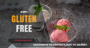 Is Edy's Gluten-Free? A Complete Guide to Safe Ice Cream Choices