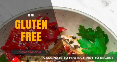 Is Eel Gluten-Free? Uncovering the Truth for Celiac Diets