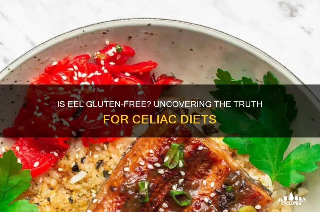 is eel gluten free