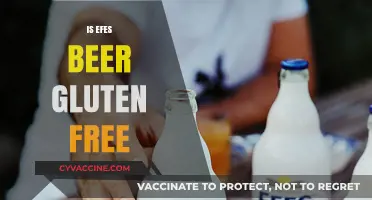 Is Efes Beer Gluten-Free? A Complete Guide for Beer Lovers