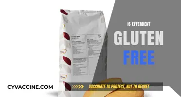 Is Efferdent Gluten-Free? A Comprehensive Guide for Dental Care
