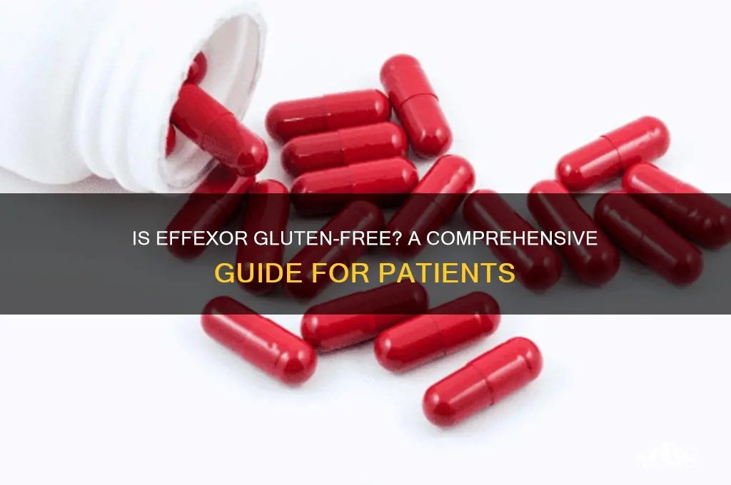 is effexor gluten free