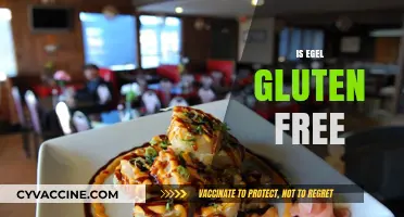 Is Egel Gluten Free? A Comprehensive Guide to Its Ingredients