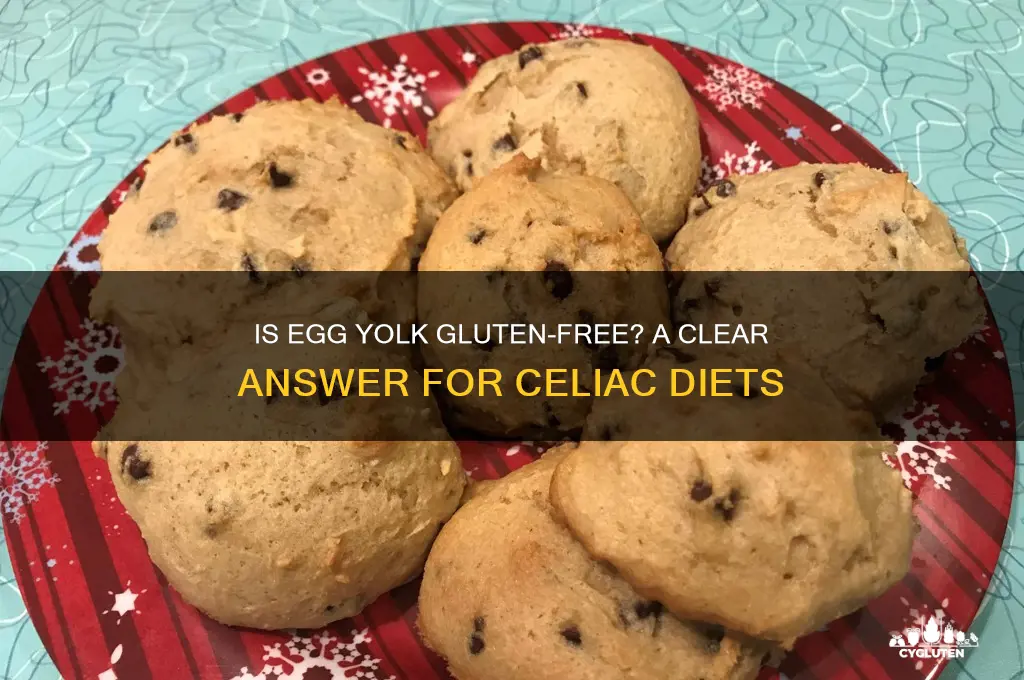 is egg yolk gluten free